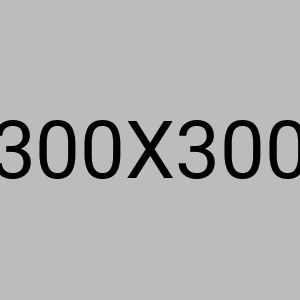 Premium Cotton T-Shirt